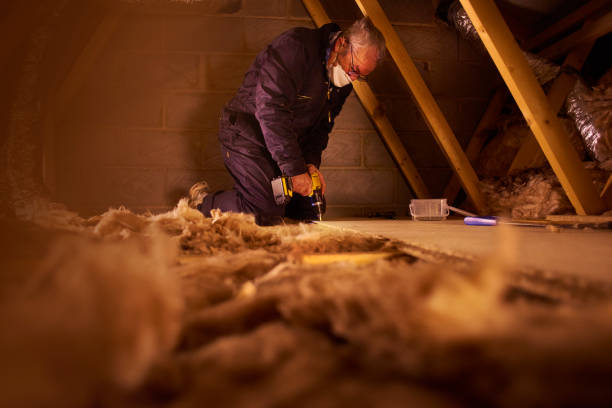 Best Commercial Insulation Services  in Logan, IA